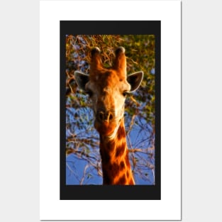 Kruger Giraffe Posters and Art